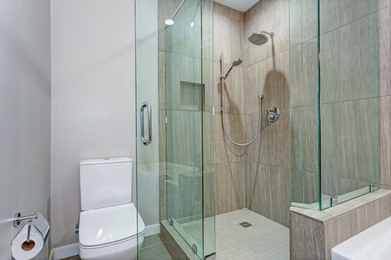 Elegant Shower Renovation